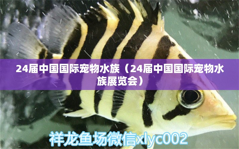 24屆中國(guó)國(guó)際寵物水族（24屆中國(guó)國(guó)際寵物水族展覽會(huì)）