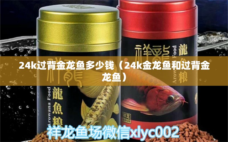 24k過背金龍魚多少錢（24k金龍魚和過背金龍魚） 龍魚疾病與治療 第2張