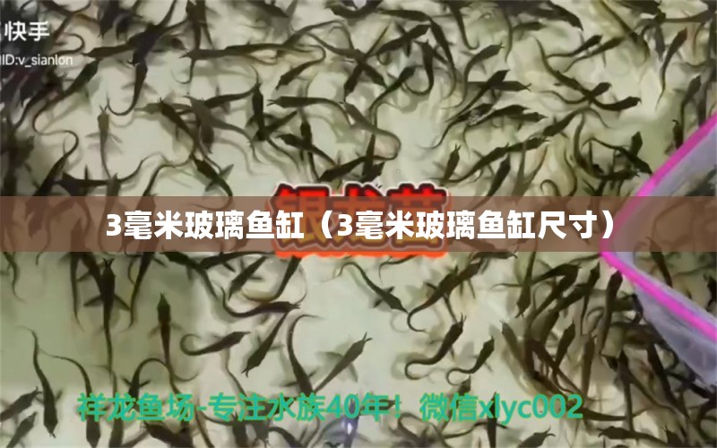 3毫米玻璃魚缸（3毫米玻璃魚缸尺寸）