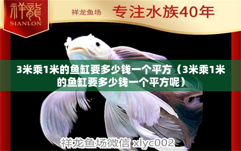 3米乘1米的魚缸要多少錢一個平方（3米乘1米的魚缸要多少錢一個平方呢）