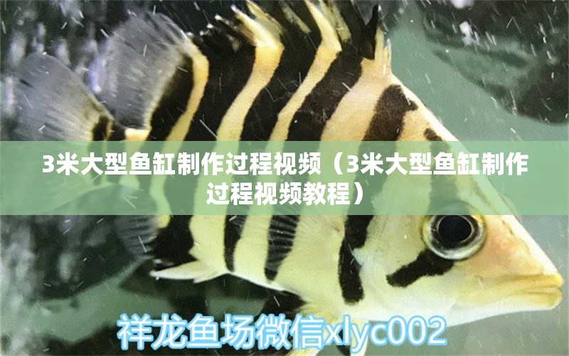 3米大型魚缸制作過程視頻（3米大型魚缸制作過程視頻教程）