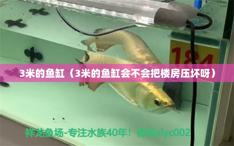 3米的魚缸（3米的魚缸會不會把樓房壓壞呀） 魚缸百科