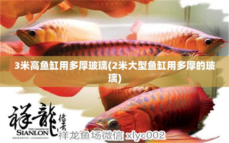 3米高魚缸用多厚玻璃(2米大型魚缸用多厚的玻璃)