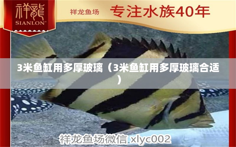 3米魚缸用多厚玻璃（3米魚缸用多厚玻璃合適）