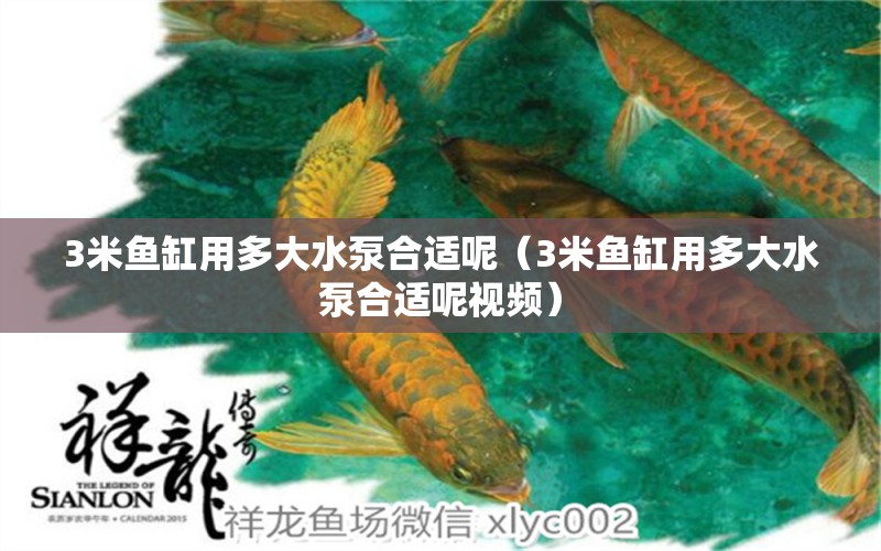 3米魚缸用多大水泵合適呢（3米魚缸用多大水泵合適呢視頻） 魚缸百科