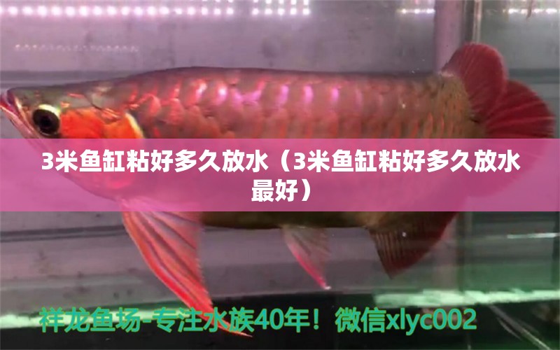 3米魚缸粘好多久放水（3米魚缸粘好多久放水最好）