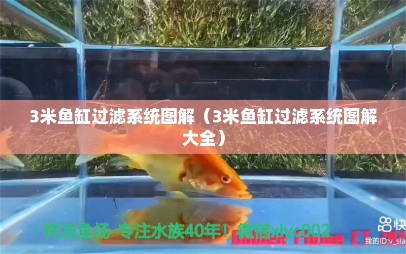 3米魚缸過濾系統(tǒng)圖解（3米魚缸過濾系統(tǒng)圖解大全）