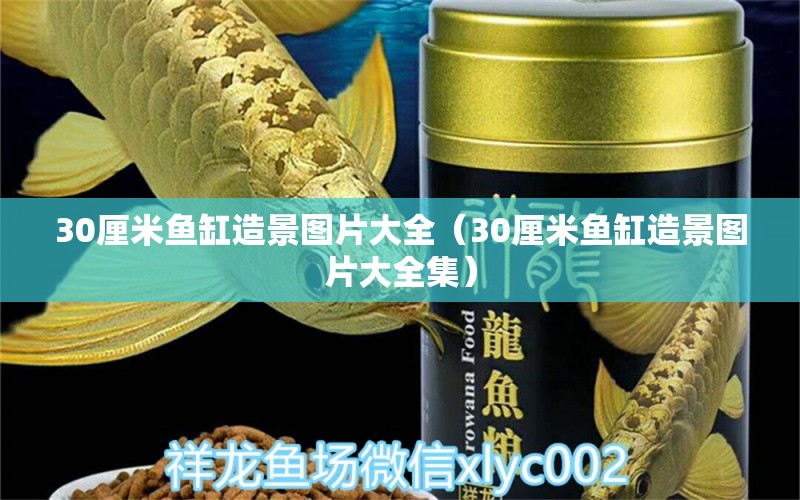 30厘米魚缸造景圖片大全（30厘米魚缸造景圖片大全集） 祥龍水族醫(yī)院