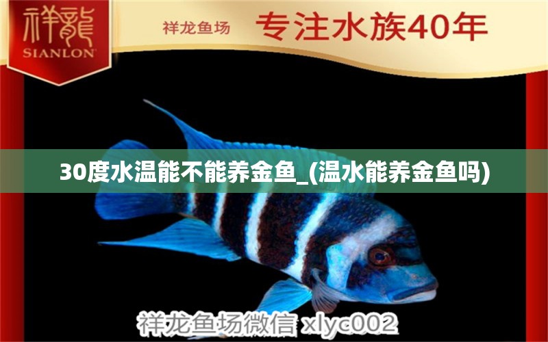 30度水溫能不能養(yǎng)金魚_(溫水能養(yǎng)金魚嗎) 印尼四紋虎