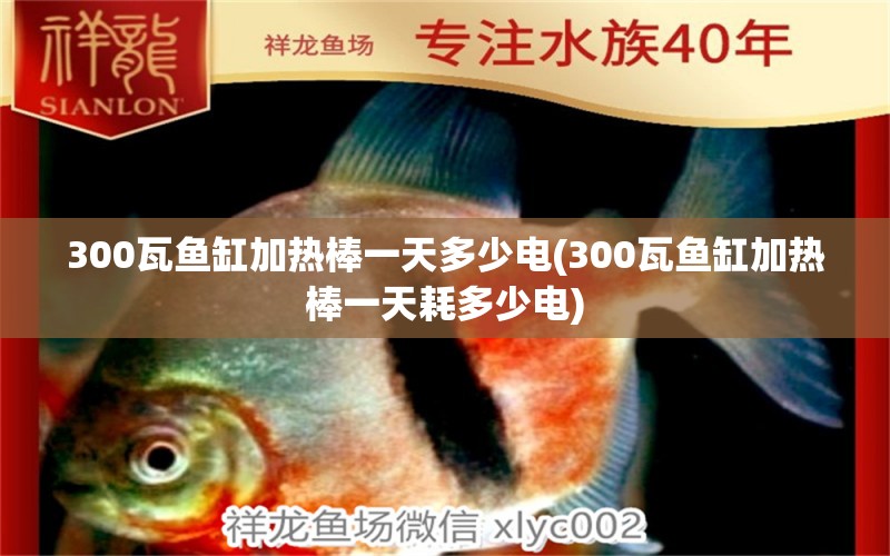 300瓦魚缸加熱棒一天多少電(300瓦魚缸加熱棒一天耗多少電) 帝王血鉆魚 第1張