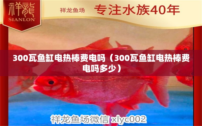 300瓦魚(yú)缸電熱棒費(fèi)電嗎（300瓦魚(yú)缸電熱棒費(fèi)電嗎多少）