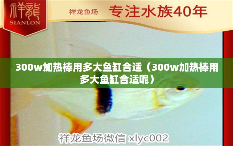 300w加熱棒用多大魚缸合適（300w加熱棒用多大魚缸合適呢） 魚缸百科