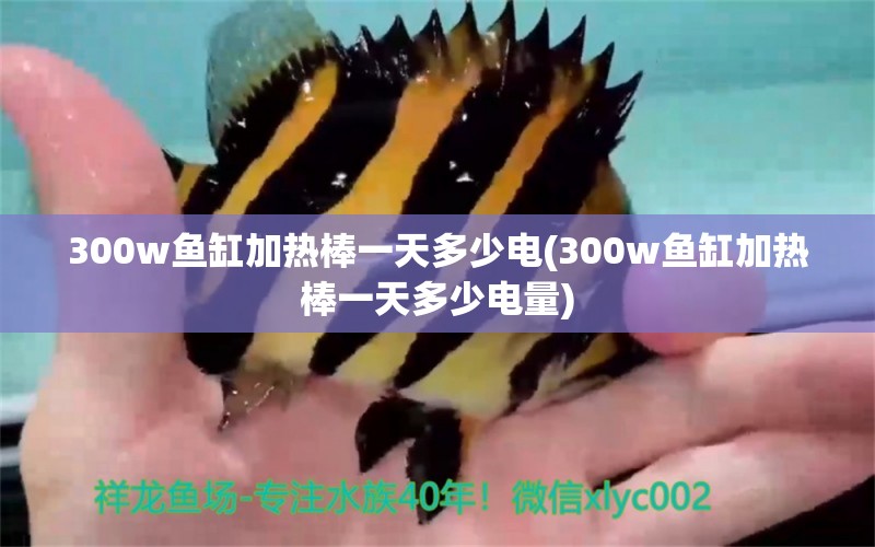 300w魚(yú)缸加熱棒一天多少電(300w魚(yú)缸加熱棒一天多少電量) 非洲象鼻魚(yú) 第1張