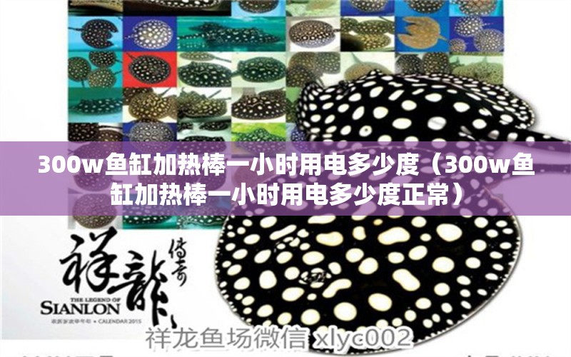 300w魚缸加熱棒一小時(shí)用電多少度（300w魚缸加熱棒一小時(shí)用電多少度正常）