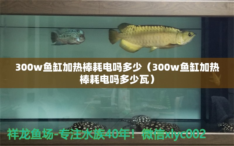 300w魚缸加熱棒耗電嗎多少（300w魚缸加熱棒耗電嗎多少瓦） 魚缸百科