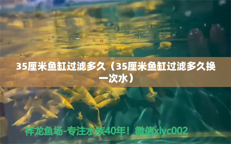 35厘米魚缸過濾多久（35厘米魚缸過濾多久換一次水）