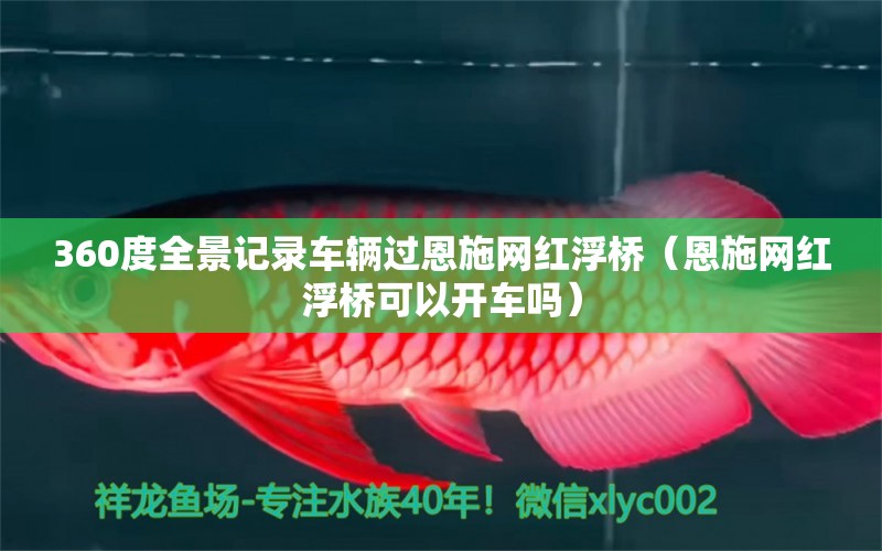 360度全景記錄車輛過恩施網(wǎng)紅浮橋（恩施網(wǎng)紅浮橋可以開車嗎）