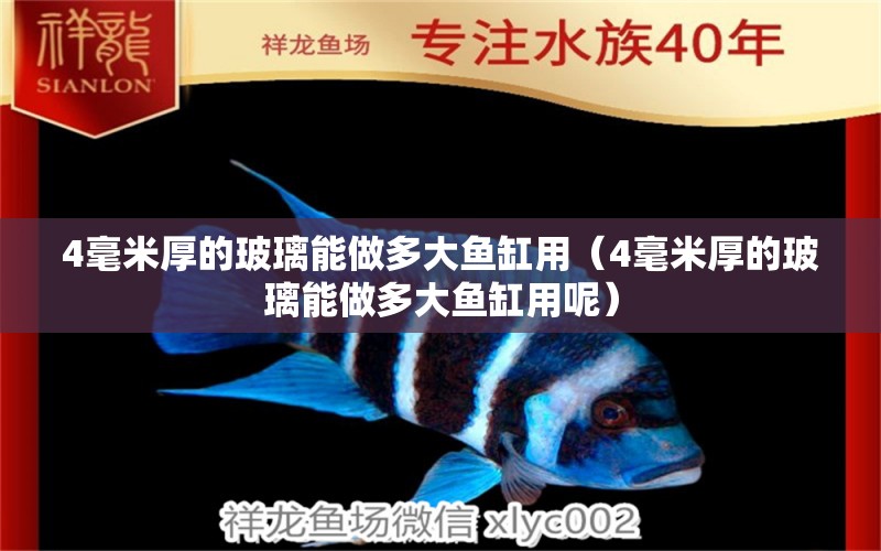 4毫米厚的玻璃能做多大魚缸用（4毫米厚的玻璃能做多大魚缸用呢）