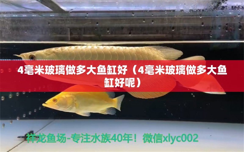 4毫米玻璃做多大魚(yú)缸好（4毫米玻璃做多大魚(yú)缸好呢）