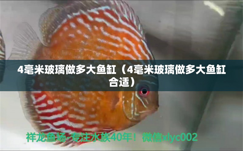 4毫米玻璃做多大魚(yú)缸（4毫米玻璃做多大魚(yú)缸合適）