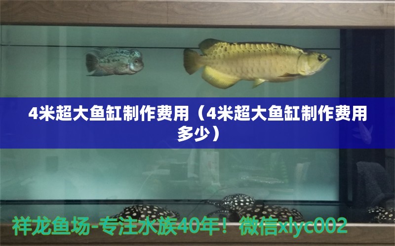 4米超大魚缸制作費(fèi)用（4米超大魚缸制作費(fèi)用多少）