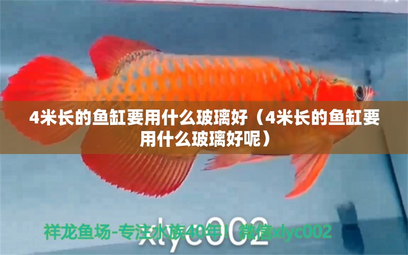 4米長(zhǎng)的魚(yú)缸要用什么玻璃好（4米長(zhǎng)的魚(yú)缸要用什么玻璃好呢）