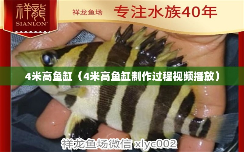 4米高魚缸（4米高魚缸制作過程視頻播放） 魚缸百科