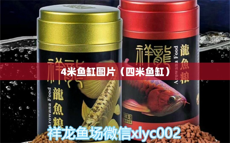 4米魚缸圖片（四米魚缸） 魚缸百科