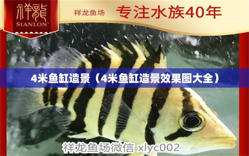 4米魚缸造景（4米魚缸造景效果圖大全）