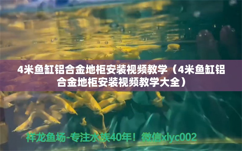 4米魚缸鋁合金地柜安裝視頻教學（4米魚缸鋁合金地柜安裝視頻教學大全）