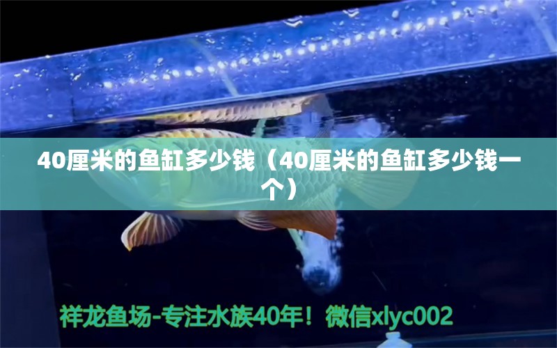 40厘米的魚缸多少錢（40厘米的魚缸多少錢一個）