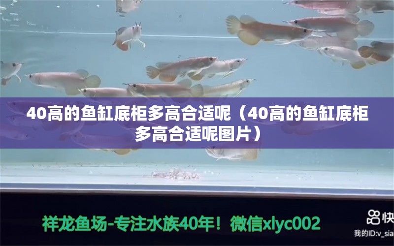 40高的魚缸底柜多高合適呢（40高的魚缸底柜多高合適呢圖片）