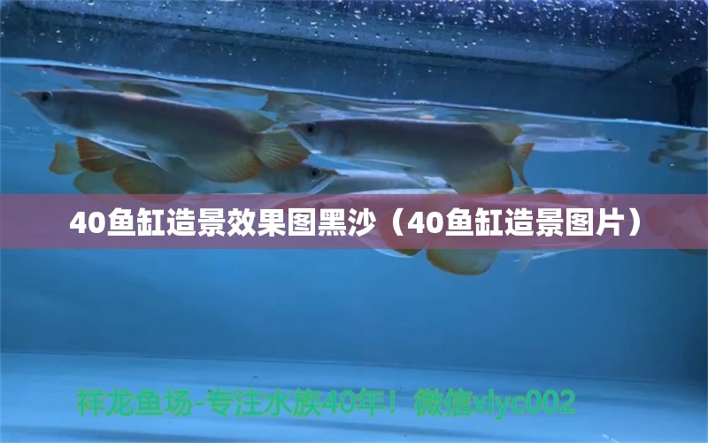 40魚缸造景效果圖黑沙（40魚缸造景圖片）