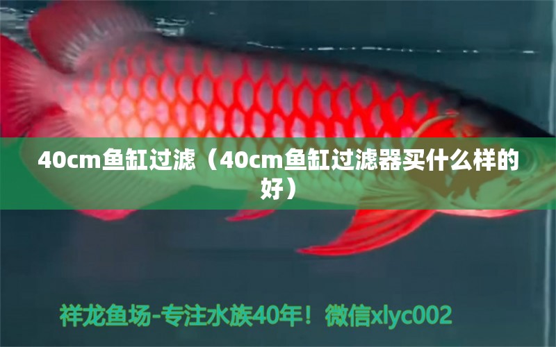 40cm魚缸過濾（40cm魚缸過濾器買什么樣的好） 魚缸百科