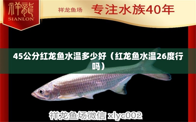 45公分紅龍魚水溫多少好（紅龍魚水溫26度行嗎）