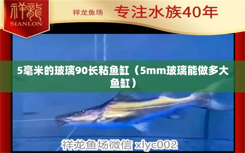 5毫米的玻璃90長粘魚缸（5mm玻璃能做多大魚缸） 其他品牌魚缸