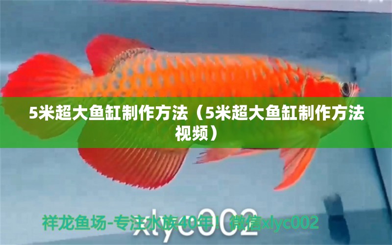 5米超大魚缸制作方法（5米超大魚缸制作方法視頻） 其他品牌魚缸