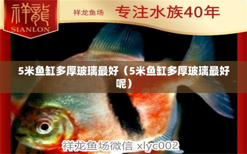 5米魚缸多厚玻璃最好（5米魚缸多厚玻璃最好呢）