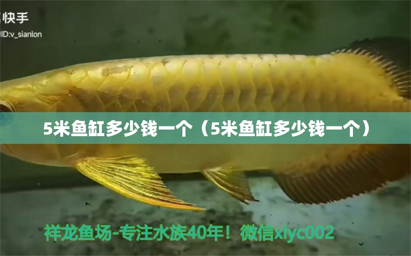 5米魚缸多少錢一個（5米魚缸多少錢一個） 其他品牌魚缸