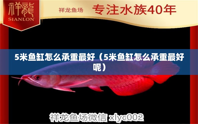 5米魚缸怎么承重最好（5米魚缸怎么承重最好呢）