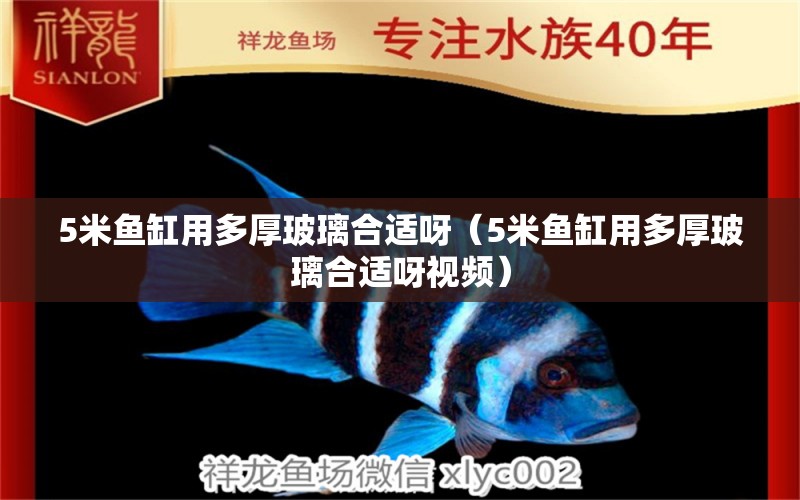 5米魚缸用多厚玻璃合適呀（5米魚缸用多厚玻璃合適呀視頻）