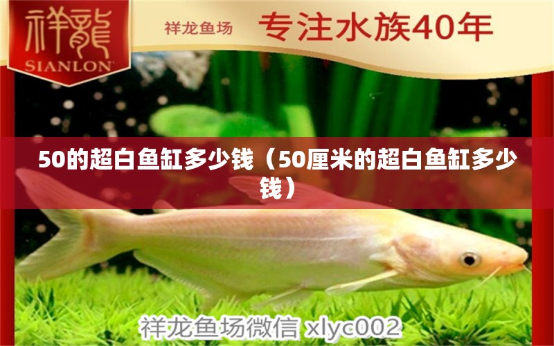 50的超白魚(yú)缸多少錢（50厘米的超白魚(yú)缸多少錢）