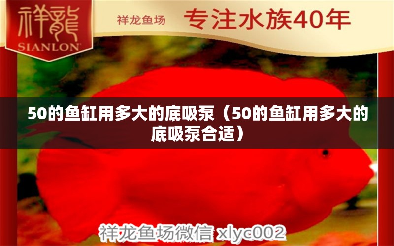 50的魚缸用多大的底吸泵（50的魚缸用多大的底吸泵合適）