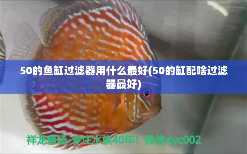 50的魚缸過濾器用什么最好(50的缸配啥過濾器最好)