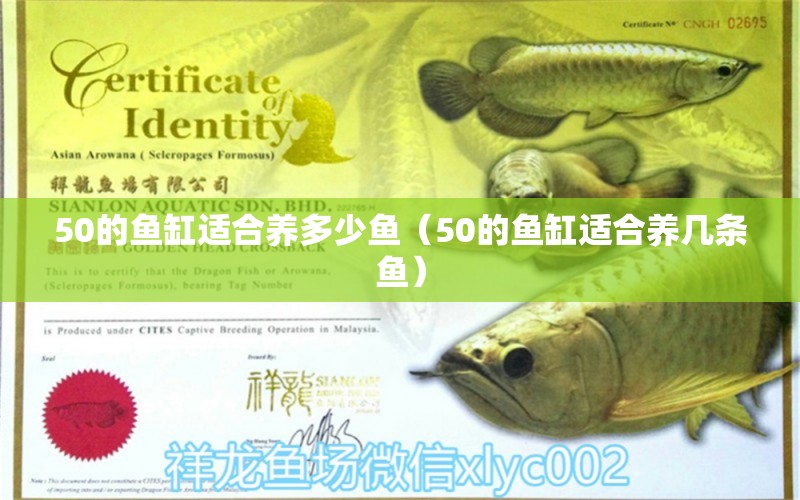 50的魚缸適合養(yǎng)多少魚（50的魚缸適合養(yǎng)幾條魚）