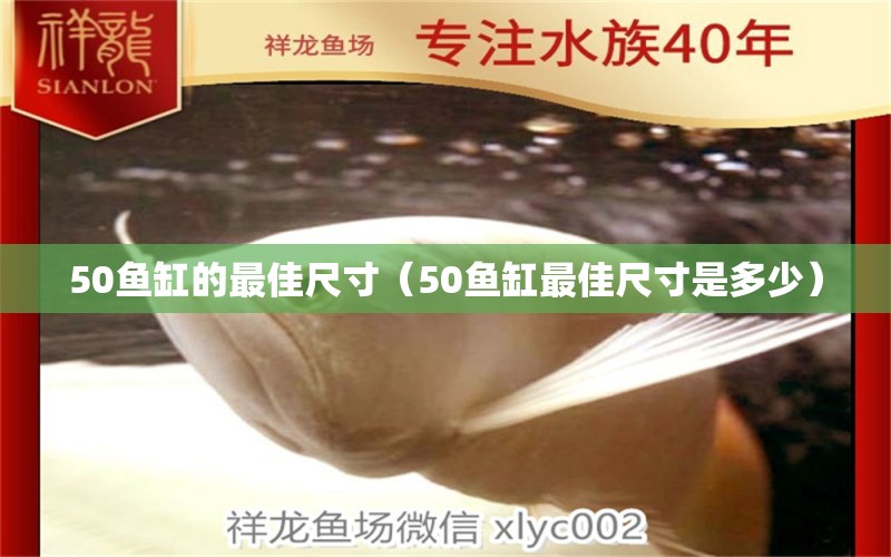 50魚(yú)缸的最佳尺寸（50魚(yú)缸最佳尺寸是多少） 祥龍魚(yú)場(chǎng)