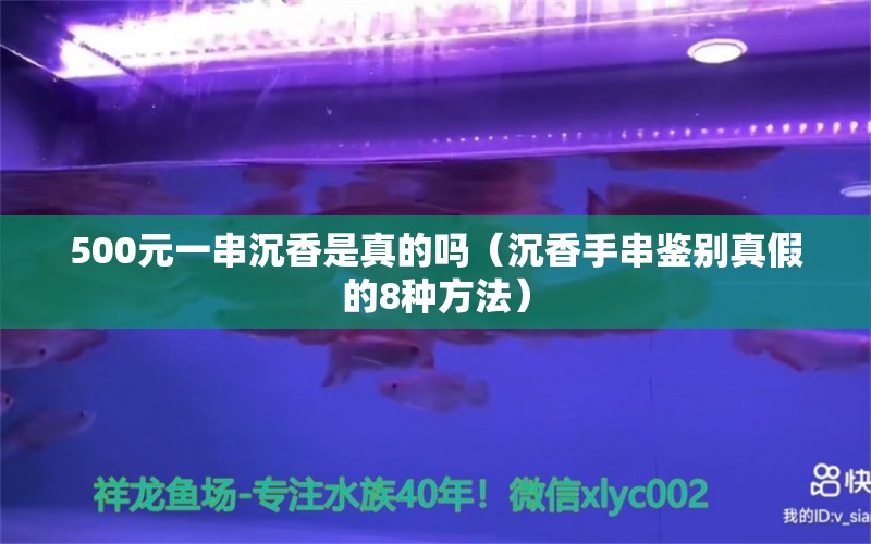 500元一串沉香是真的嗎（沉香手串鑒別真假的8種方法） 文玩