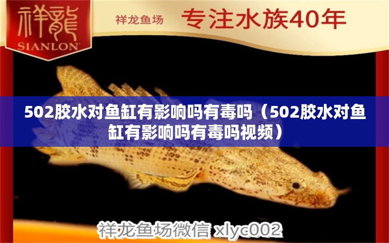 502膠水對(duì)魚缸有影響嗎有毒嗎（502膠水對(duì)魚缸有影響嗎有毒嗎視頻）