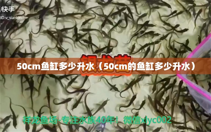 50cm魚缸多少升水（50cm的魚缸多少升水）