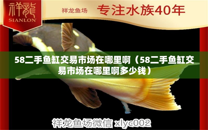 58二手魚缸交易市場(chǎng)在哪里啊（58二手魚缸交易市場(chǎng)在哪里啊多少錢）